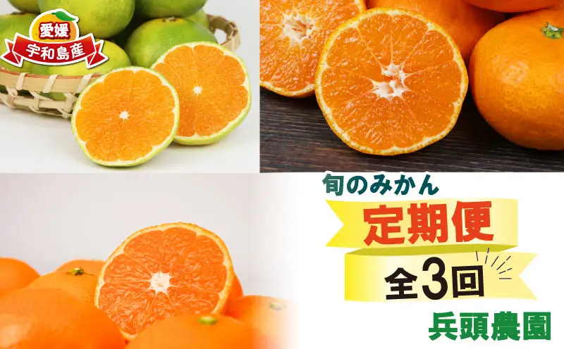 愛媛みかん 旬の みかん 定期便 3回 家庭用 9kg ×3回 極早生 早生 中生 兵頭農園 先行予約 温州 ごくわせ わせ なかて 3ヶ月 mikan 愛媛ミカン 愛媛蜜柑 果物 くだもの フルーツ 柑橘 甘い ジューシー 果肉 蜜柑 産地直送 農家直送 数量限定 国産 愛媛 宇和島 B036-055006
