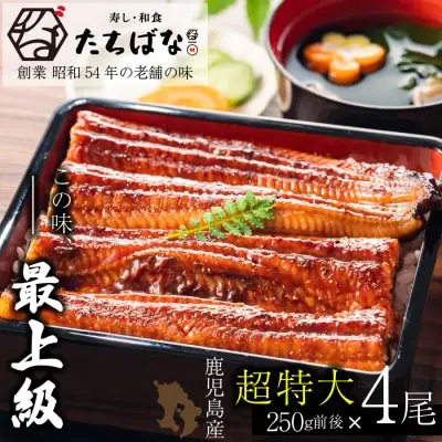 Y02-21 老舗たちばな 鰻蒲焼（250g前後） 4尾 うなぎ