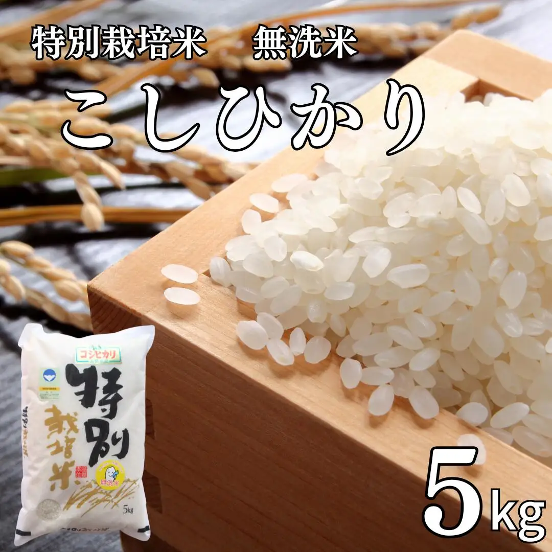 新潟県認証 特別栽培米 コシヒカリ5kg 無洗米 令和7年産 新潟県三条市産 こしひかり 【011S193】