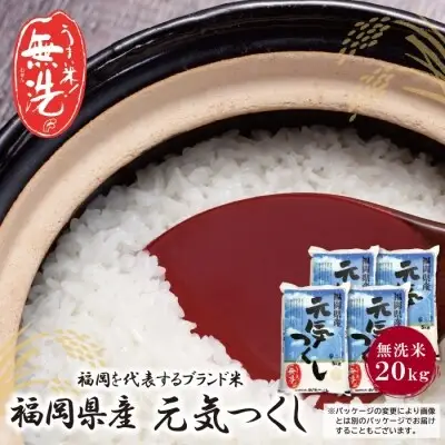 Y17-23 令和7年産 無洗米 元気つくし20kg