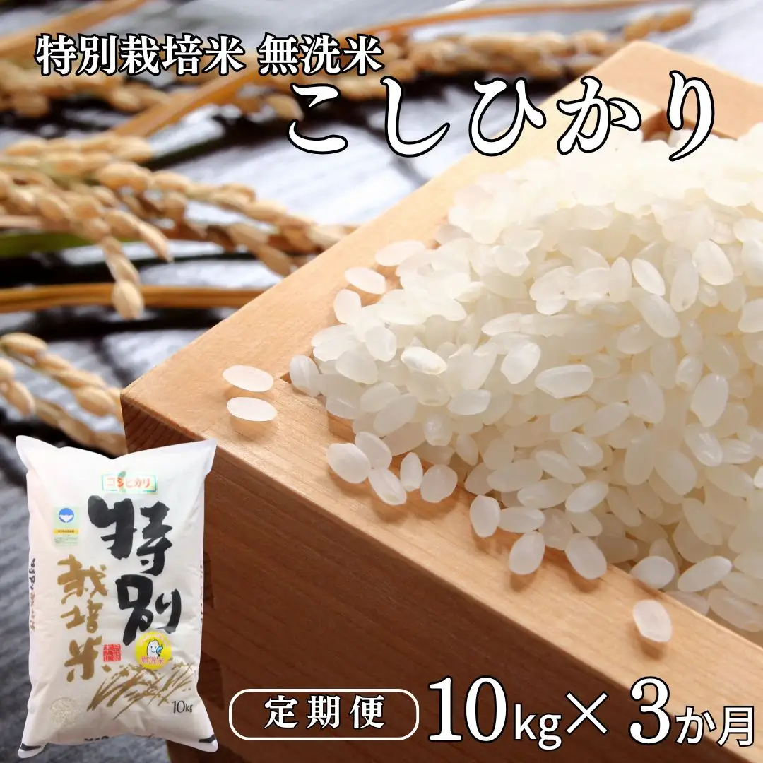 [無洗米 定期便 10kg×3ヶ月] 特別栽培米 コシヒカリ10kg 合計30kg 無洗米 新潟県認証 令和7年産 三条市【061S009】
