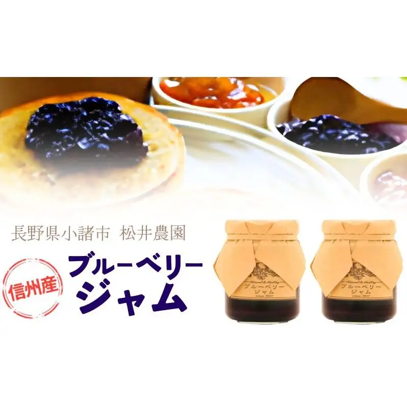 ジャム【ブルーベリージャム（140g）２個セット】ブルーベリー 完熟  果物 ペースト トッピング  トースト ヨーグルト 信州 長野