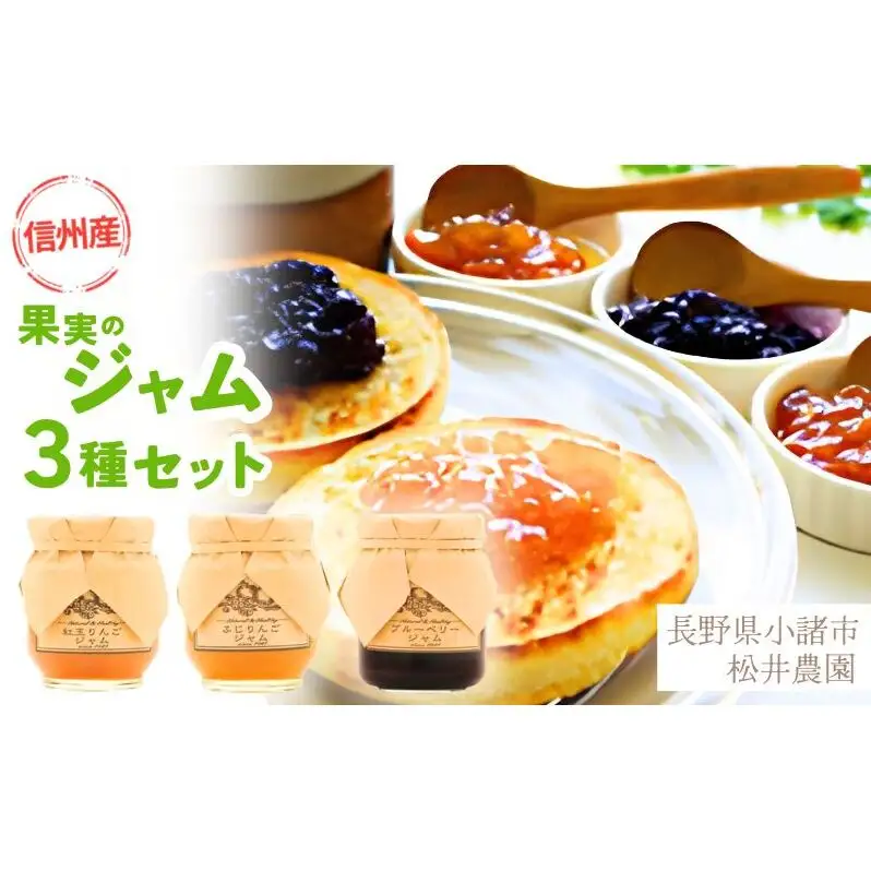 ジャム【ジャムセット】りんご リンゴ りんごジャム 紅玉 ふじ ブルーベリージャム フルーツジャム 完熟 アップル 果物 ペースト トッピング  トースト ヨーグルト 信州 長野