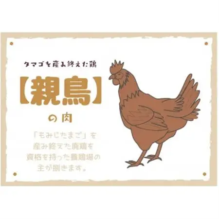 たまごを産み終えた親鶏肉2kg【浜渦養鶏場】【配送不可地域：離島】【1508062】