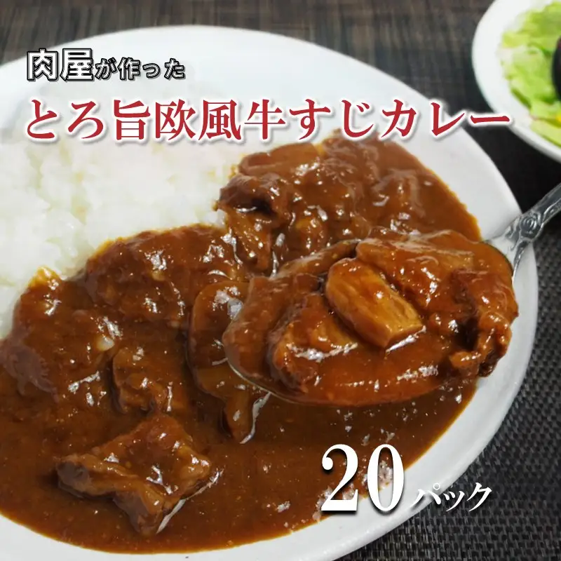 とろ旨欧風牛すじカレー（200g×20パック）【069C-001】