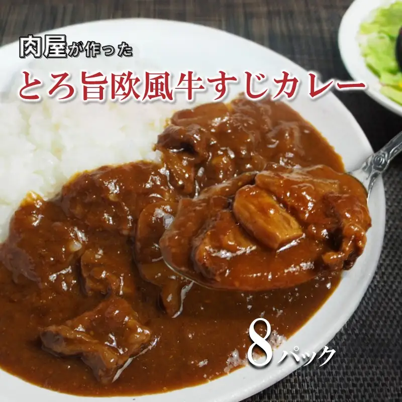 とろ旨欧風牛すじカレー（200g×8パック）【069D-011】