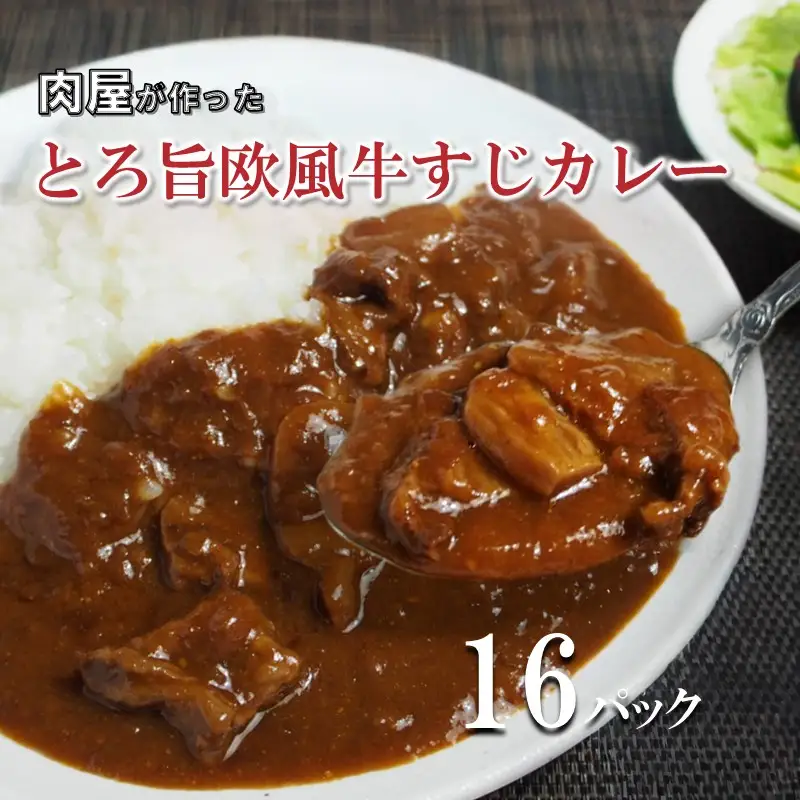 とろ旨欧風牛すじカレー（200g×16パック）【069D-014】