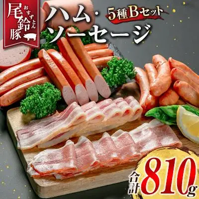 【PREMIUM PORK】 尾鈴豚 ハム ソーセージ 詰め合わせ 合計810g 5種 Bセット 宮崎県産