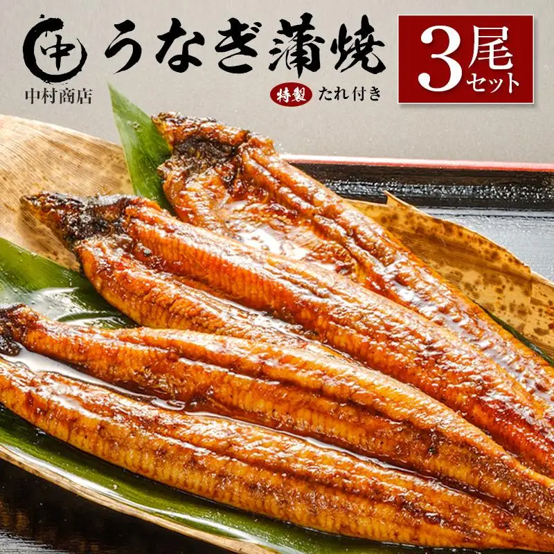 ◆中村商店 うなぎ蒲焼3尾セット 計543g以上