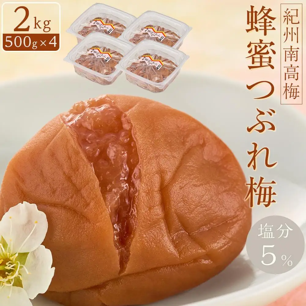 紀州南高梅　蜂蜜つぶれ　塩分5％　2kg（500g×４)【Kn23】梅干し うめぼし ウメ　