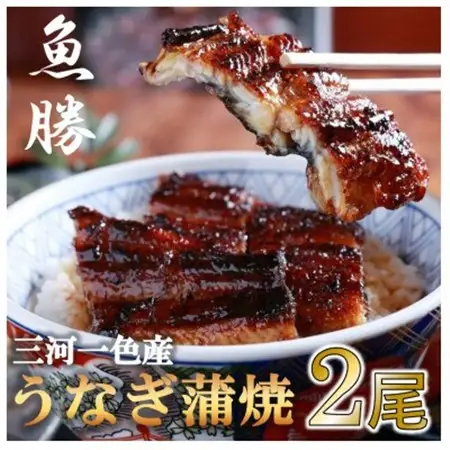 三河一色産うなぎ蒲焼　2尾〈計約320g〉_魚介・海産物 うなぎ  ウナギ 鰻_【配送不可地域：離島】【1532718】