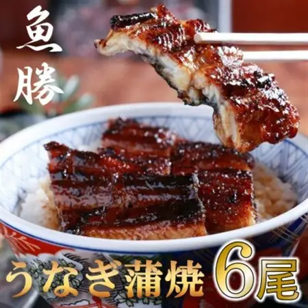 中国産うなぎ蒲焼　6尾〈計約960g〉_魚介・海産物 うなぎ  ウナギ 鰻_【配送不可地域：離島】【1532726】