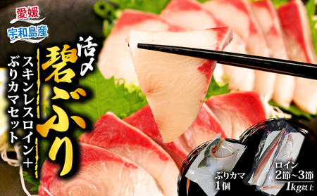 【碧鰤】ブリ1kg以上南予ビージョイブリ│D021-150009
