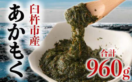 栄養豊富でシャキシャキ＆ネバネバの臼杵産「あかもく」（計960g)