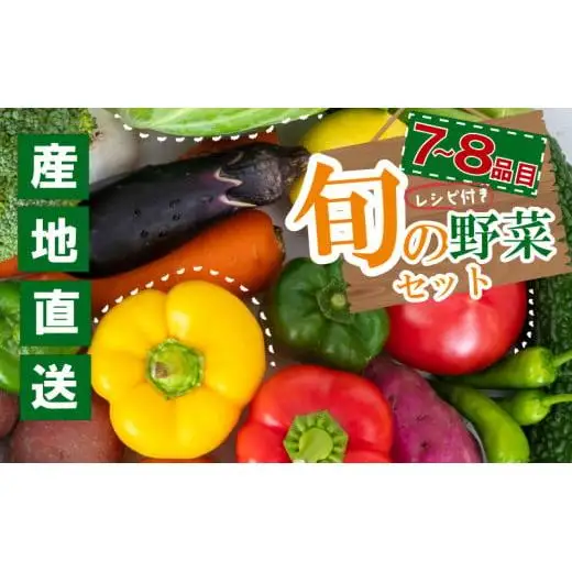 季節の野菜セット 産地直送 朝採れ （7品 ～ 8品 野菜 セット 詰め合わせ 特産 季節 旬 新鮮 彩 ベジタブル 高知県 須崎市  ） NPO020