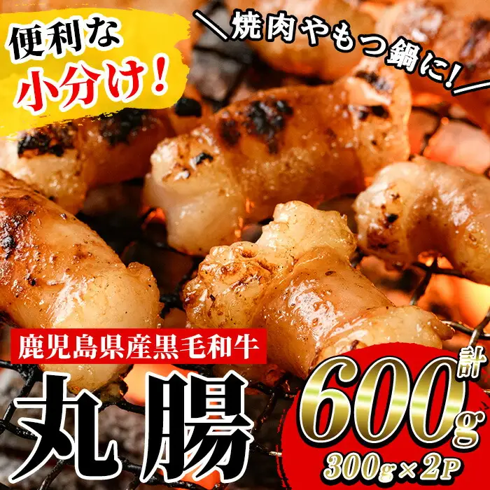 鹿児島県産 黒毛和牛ホルモン 丸腸 約600g（300g×2P）【00-030-26】