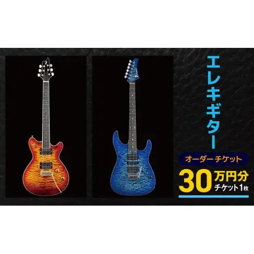 エレキギター オーダーチケット 30万円分 | オーダー チケット 楽器 ギター エレキ ギター 長野県 塩尻市