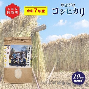 米 10kg 新潟県産 コシヒカリ はざ掛け 天日干し 令和7年産 越後奥阿賀産 5kg×2袋 | 小会瀬 はざがけ こしひかり 一等米 送料無料 お取り寄せ お米 白米 精米