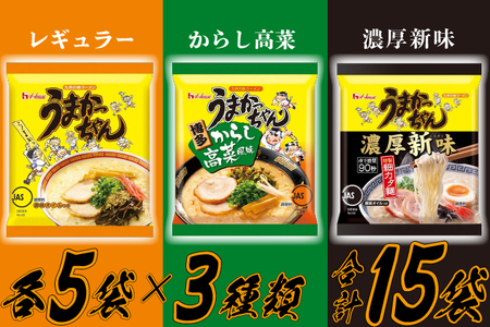 うまかっちゃんセット　15食（3種類✕各5食）[M244P1-4]　ラーメン 豚骨 インスタント 乾麺 即席麺 拉麺 保存食 九州 濃厚新味 高菜