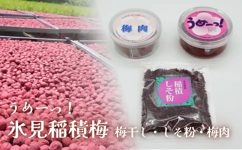 うめーっ！氷見稲積梅 梅干し・しそ粉・梅肉セット 富山県 氷見市 梅干 しそ 酸っぱい