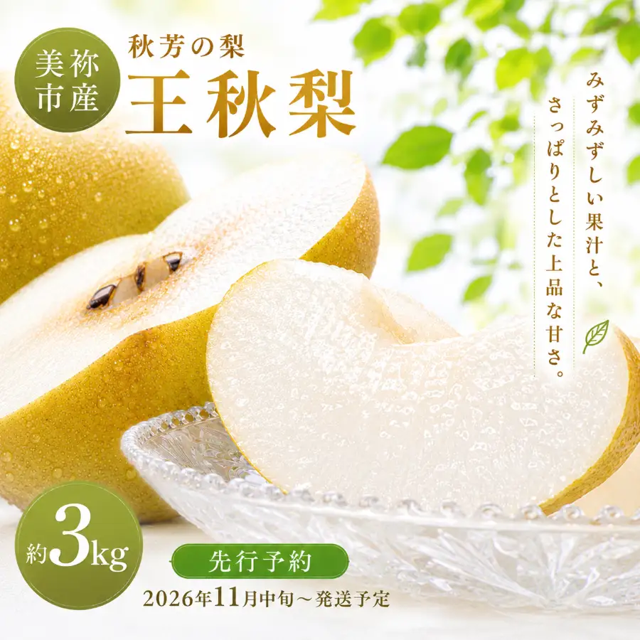 美祢市産 王秋梨 約 3kg 先行予約 〈2026年 11月中旬頃 ～ 発送予定〉