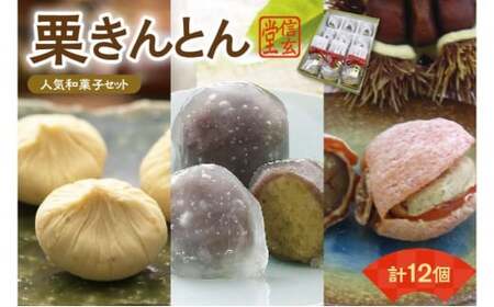 人気商品!! 栗きんとん詰合せ12個入 [秋季限定] 信玄堂 【12月お届け】 F4N-2322