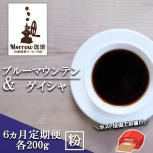 定期便 6ヶ月 自家焙煎 ブルーマウンテン NO1・ゲイシャ (粉) 各200g×6ケ月 ポスト投函 コーヒー 珈琲 6回 お楽しみ Morrow珈琲