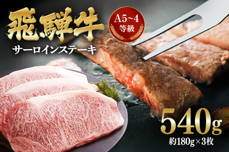 飛騨牛 A5～4等級 サーロインステーキ3枚 約540g (約180g×3枚) │ 国産 牛肉 和牛 ブランド ステーキ (A01-008)