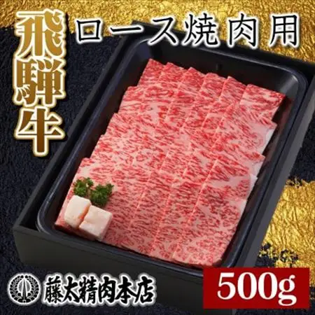 【飛騨牛】ロース焼肉500g 岐阜県産 黒毛和牛 BBQ 贈り物にも【配送不可地域：離島】【1046749】
