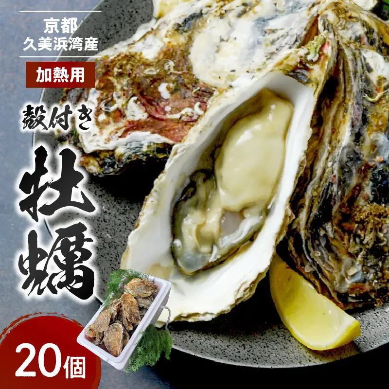 牡蠣 殻付き約20個 牡蠣