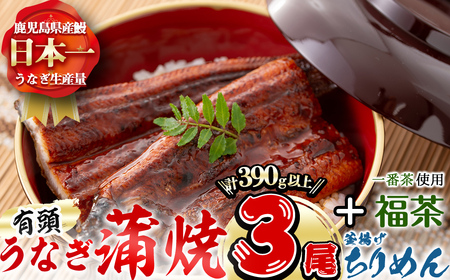 極うなぎ蒲焼130g以上×3尾(計390g以上)+釜揚げちりめん100g+福茶100g うなぎ 鰻 ウナギ 蒲焼 3尾 真空パック 鰻重 うな丼 ちりめん 一番茶 緑茶 冷凍 お茶 有頭 セット b4-015