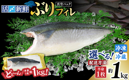 活〆 新鮮 ぶり フィレ 1枚（ 半身 ） M079-010-01 魚 冷凍