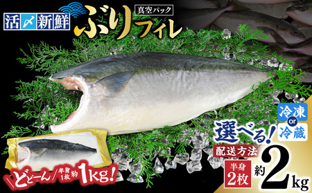 活〆 新鮮 ぶり フィレ 2枚（ 半身 ） M079-010-02 魚 冷凍