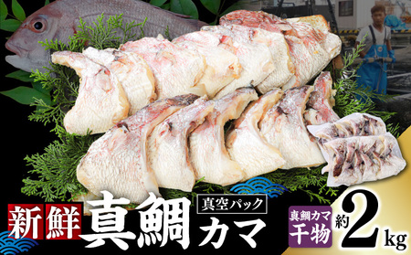 新鮮真鯛カマ干物（約2kg） M079-011-04 冷凍 加工品