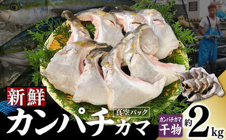 新鮮カンパチ カマ干物 約2kg M079-012-04 冷凍 加工品