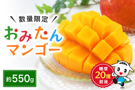 【数量限定・季節限定】 『グッド！モーニング』で紹介 おみたんマンゴー 約550g 数量限定 期間限定 先行予約 完熟 マンゴー 国産フルーツ 果物 くだもの 【7月20日～8月末まで順次発送予定】 19-I