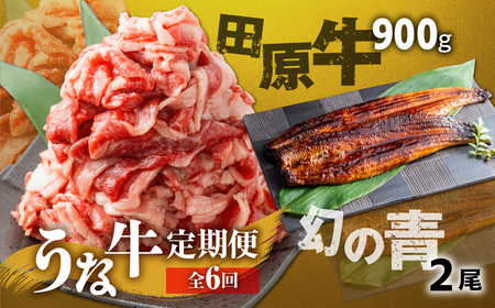 【定期便】幻の青うなぎ＆田原牛 堪能 定期便 6回