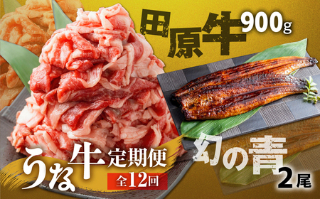 【定期便】幻の青うなぎ＆田原牛 堪能 定期便 12回