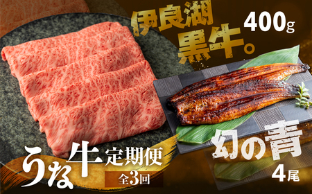 【定期便】幻の青うなぎ＆伊良湖黒牛 堪能定期便 3回