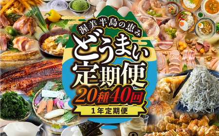 【定期便】渥美半島の恵み 20種 40回 12 カ月 1年定期便 