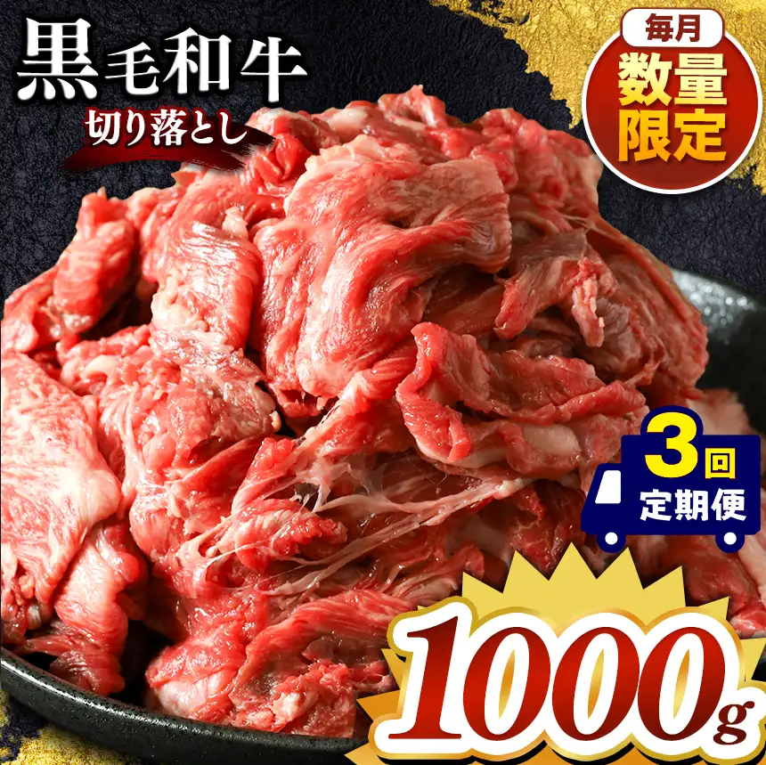 【定期便3回】栃木県産黒毛和牛切り落とし 1000g