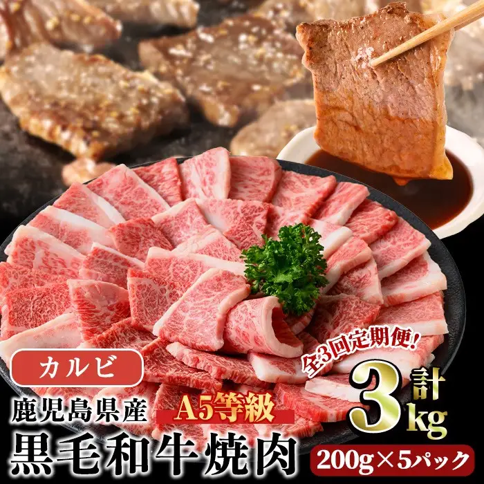 ＜定期便・全3回＞ A5等級 鹿児島県産 黒毛和牛 カルビ 焼肉 (計3kg・200g×5パック×3回) 【LRプラスK】T23-v01