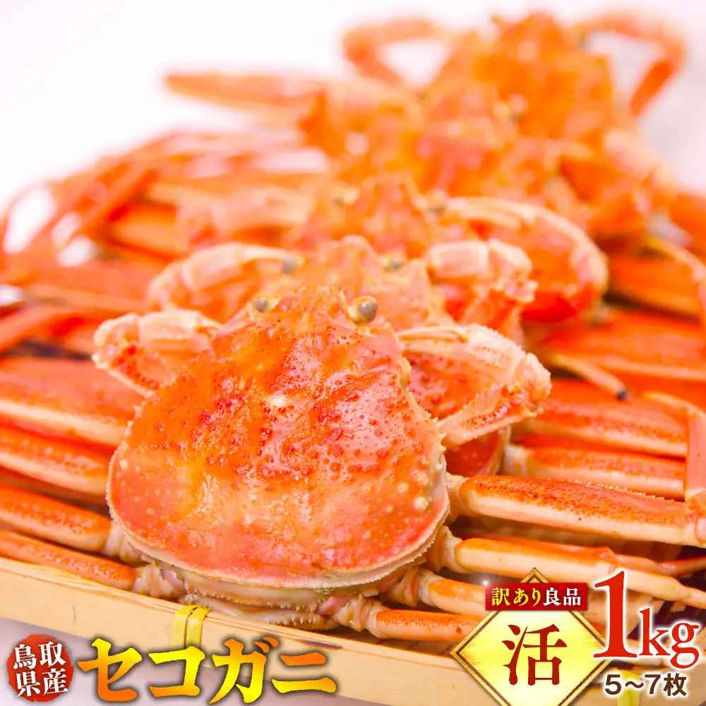 【活】鳥取県産 セコガニ 訳あり良品 1ｋg（5～7枚）| セコガニ 訳あり活 足1本  不揃い たっぷり ※2026/11/6～2026/12/25に順次発送予定  ※着日指定不可  離島不可（北海道、沖縄本島は配送可能）