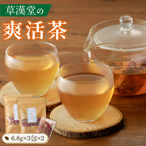 草漢堂の爽活茶[103S06]　 健康茶 薬膳茶 漢方茶 ブレンドティー ハーブティー ハッカ マイカイカ 