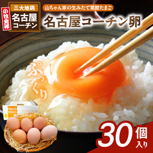 【山ちゃん家の生みたて葉酸たまご】名古屋コーチン卵（30個入り）[132Y01]　 新鮮たまご 産地直送たまご 大容量 高級たまご 地鶏 たまご 卵 玉子 タマゴ 葉酸卵 妊娠中 高齢者 朝食 卵料理 卵かけご飯 卵焼き 目玉焼き 山田養鶏 お取り寄せグルメ 