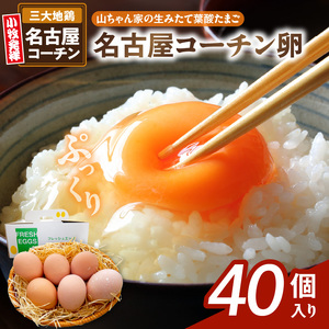 【山ちゃん家の生みたて葉酸たまご】名古屋コーチン卵（40個入り）[132Y02]　 新鮮たまご 産地直送たまご 大容量 高級たまご 地鶏 たまご 卵 玉子 タマゴ 葉酸卵 妊娠中 高齢者 朝食 卵料理 卵かけご飯 卵焼き 目玉焼き 山田養鶏 お取り寄せグルメ 
