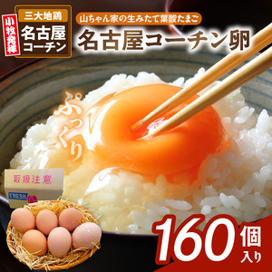 【山ちゃん家の生みたて葉酸たまご】名古屋コーチン卵（160個入り）[132Y04]　 新鮮たまご 産地直送たまご 大容量 高級たまご 地鶏 たまご 卵 玉子 タマゴ 葉酸卵 妊娠中 高齢者 朝食 卵料理 卵かけご飯 卵焼き 目玉焼き 山田養鶏 お取り寄せグルメ 