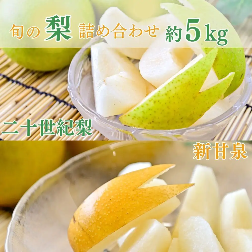 【先行予約】【数量限定】「ス梨・果ラット ダイヤ」 二十世紀梨 新甘泉 セット（5kg）【倉吉産】令和8年産 梨 果物 フルーツ 和梨 二十世紀梨 新甘泉