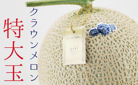 クラウンメロン 白等級 特大玉 １玉 果物類 メロン 青肉 マスクメロン フルーツ 果物 高級メロン 静岡 静岡県 森町