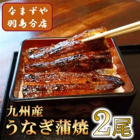 九州産うなぎ蒲焼　2尾〈計約240g〉_魚介・海産物 うなぎ  ウナギ 鰻_【配送不可地域：離島】【1533660】